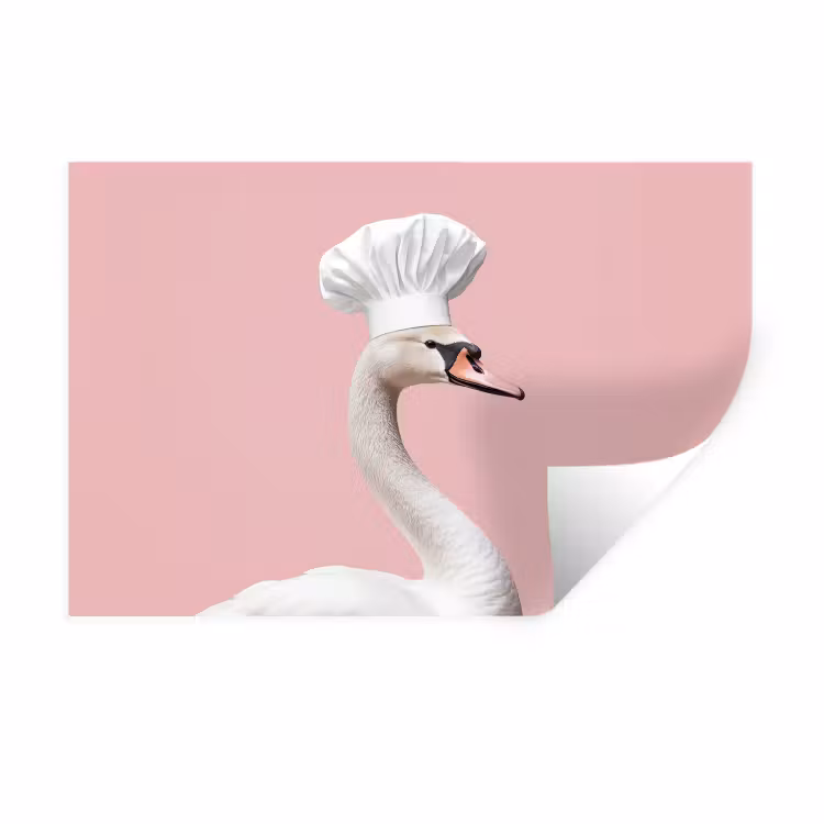 Muursticker - Zwaan - Koksmuts - Mooi - Klassiek — 1