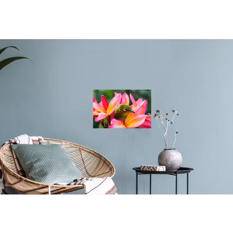 Muursticker - Tropische vogel tussen roze bloem — 4