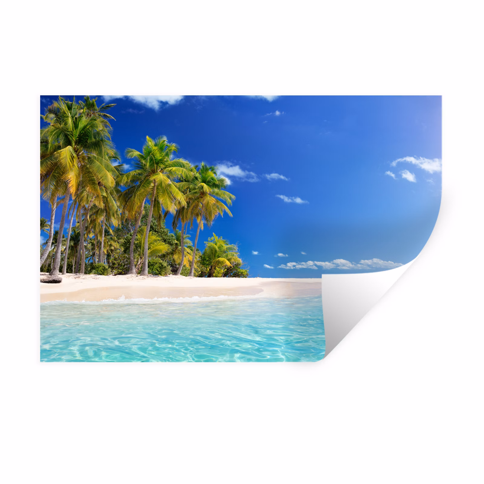 Muursticker - Strand - Zee - Palmboom - Zon - Zomer — 1