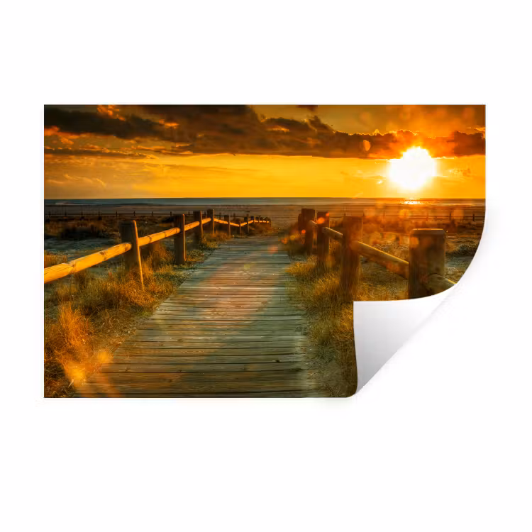 Muursticker - Zon - Strand - Duin - Horizon - Gras - Pad - Oranje — 1