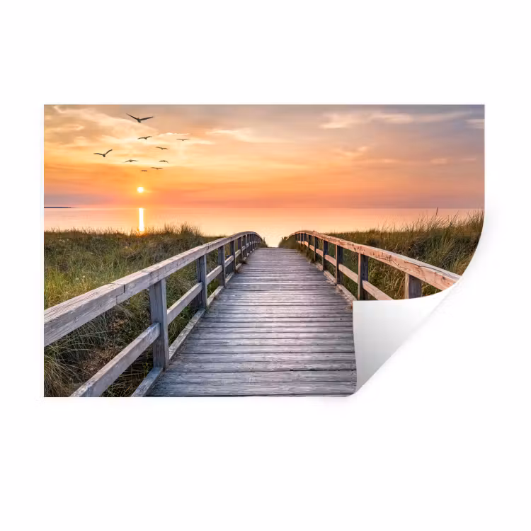 Muursticker - Zonsonderang - Zee - Pad - Gras - Duin - Vogels — 1