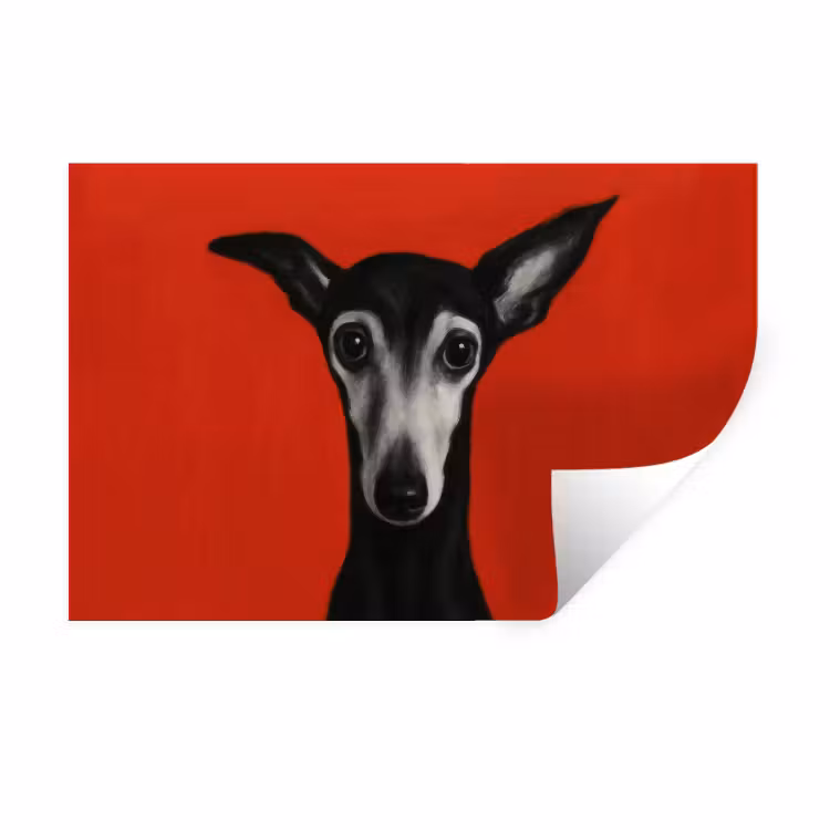 Muursticker - Windhond - Minimalistisch - Rood — 1