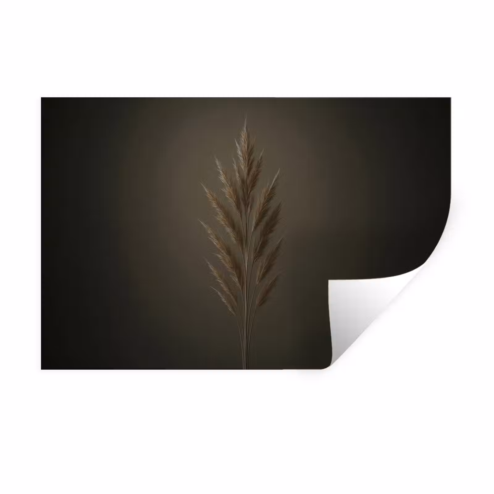 Muursticker - Tak - Pluimgras - Donkerbruin — 1