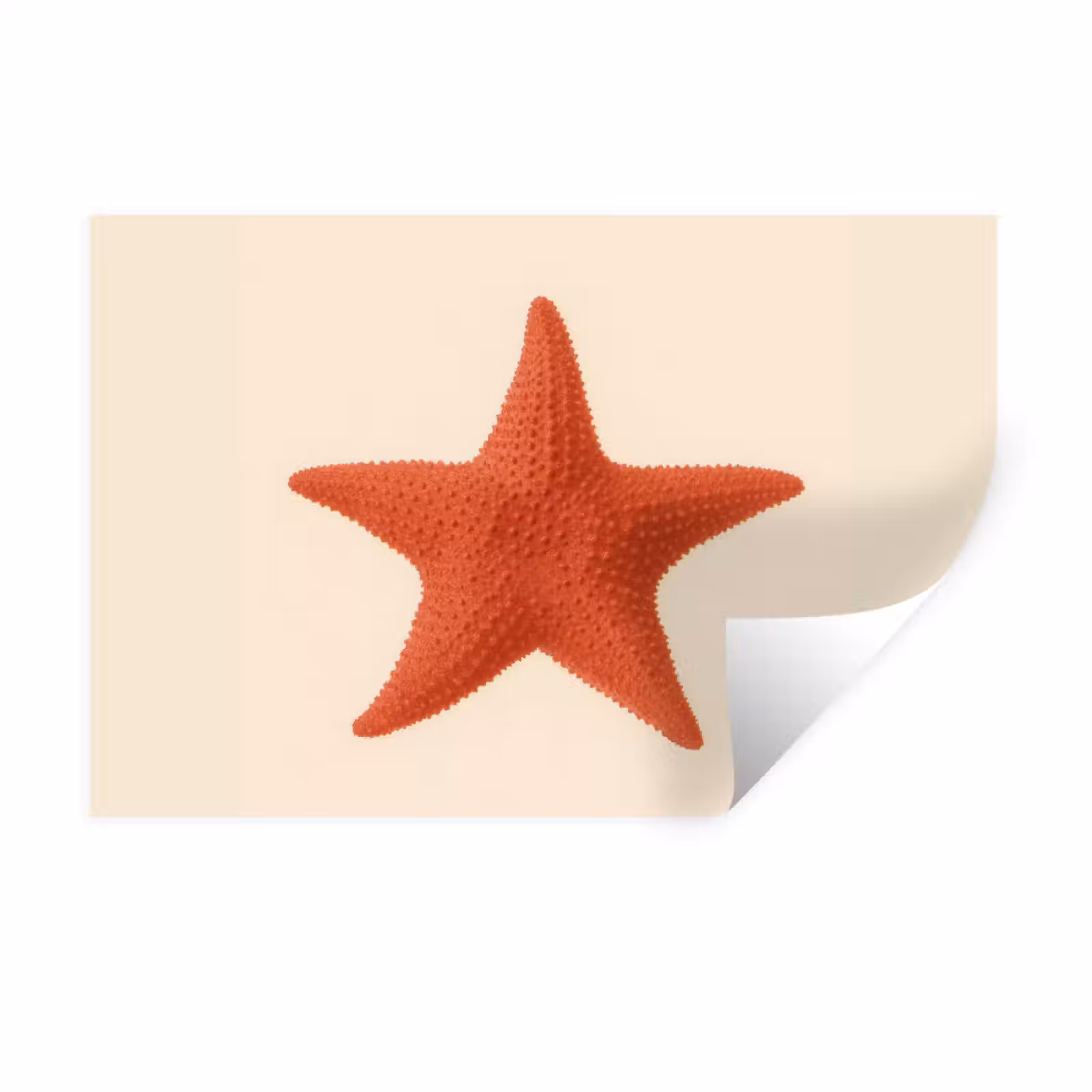 Muursticker - Zeester - Bobbels - Rood — 1