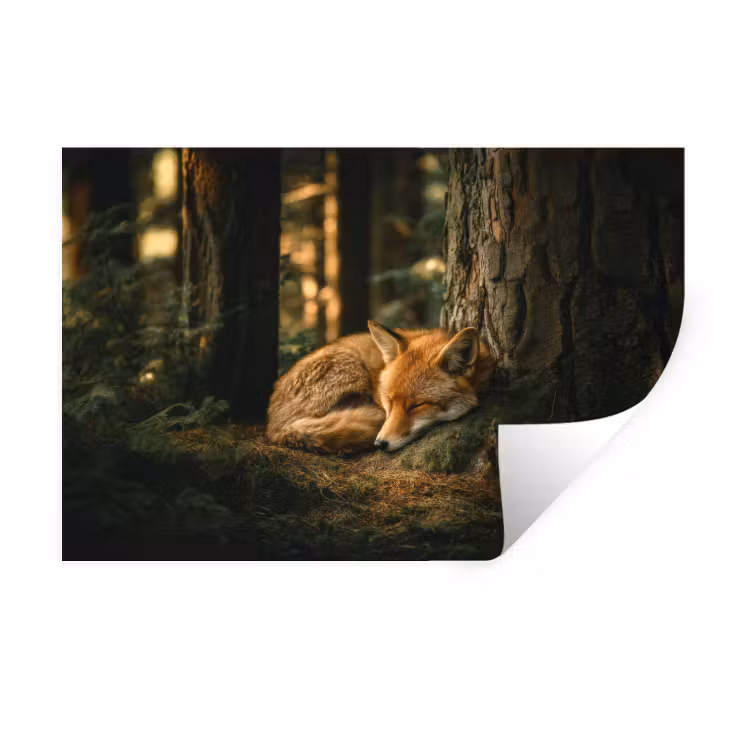 Muursticker - Vos - Bos - Slapen — 1