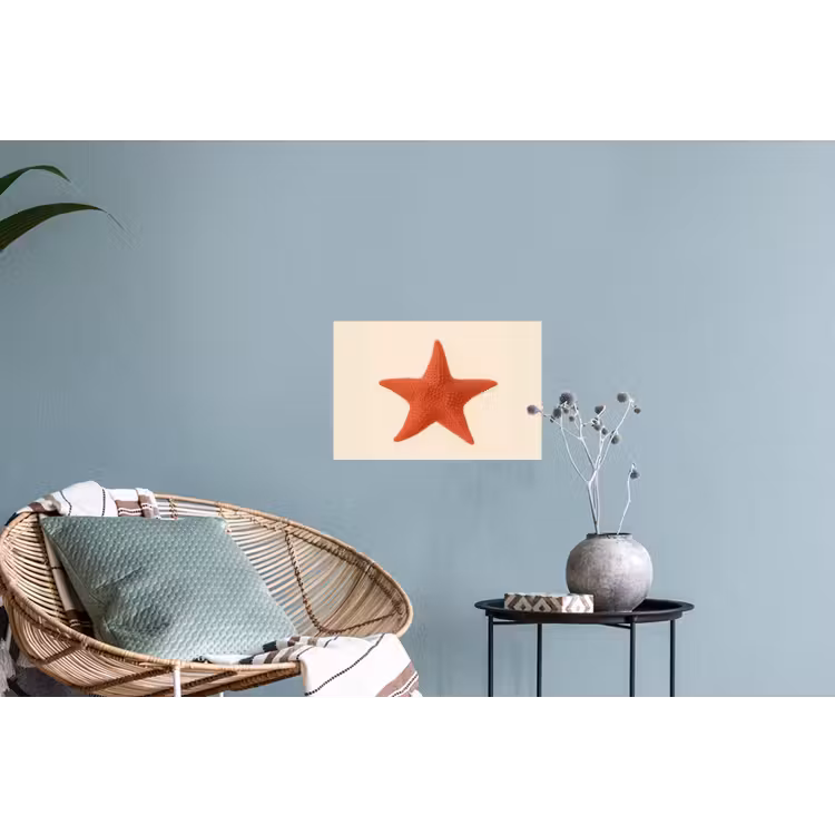 Muursticker - Zeester - Bobbels - Rood — 4