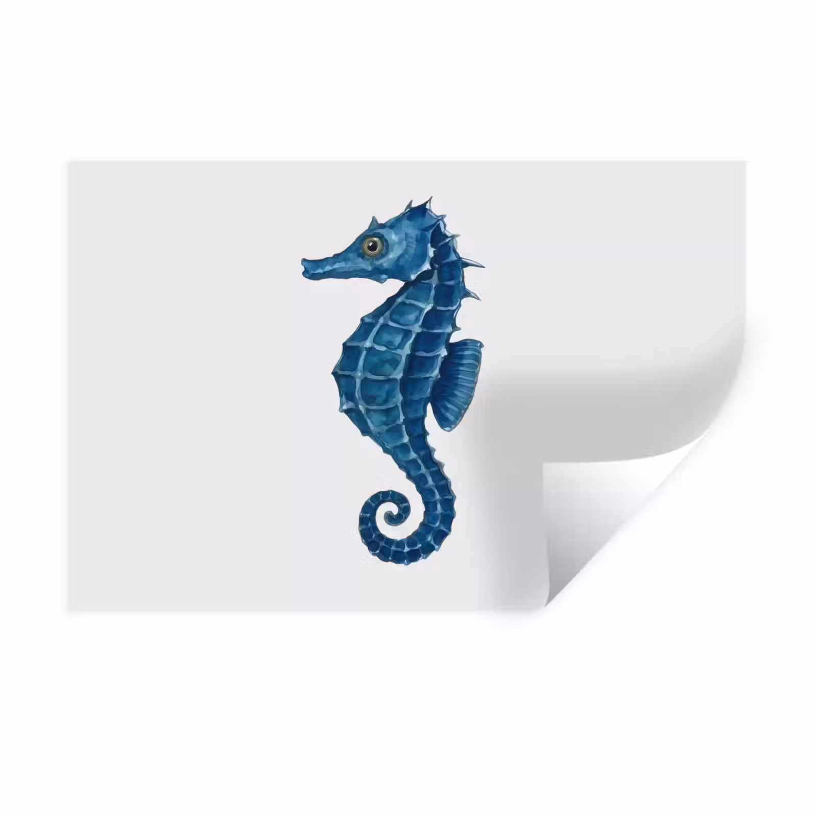 Muursticker - Zeepaardje - Staart - Blauw — 1