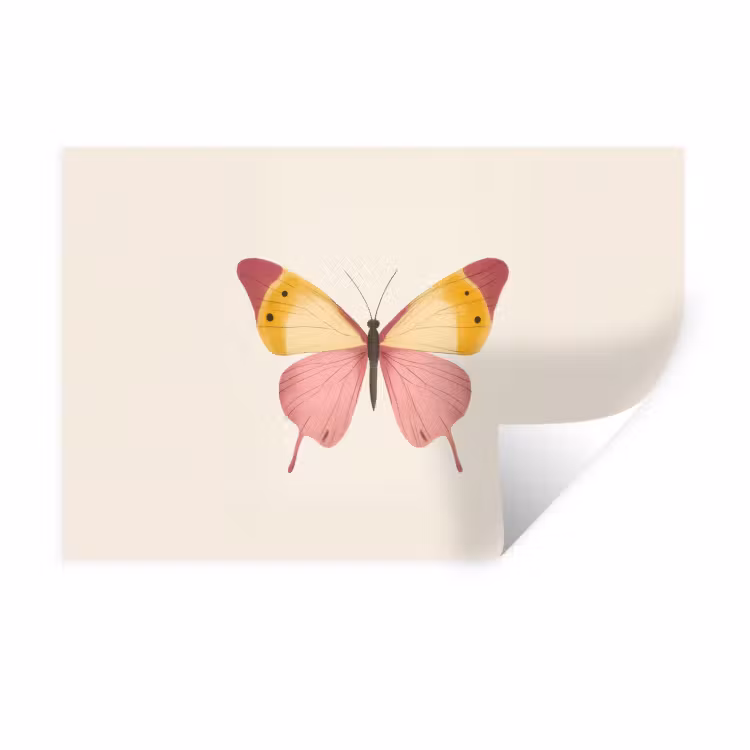 Muursticker - Vlinder - Illustratie - Roze — 1