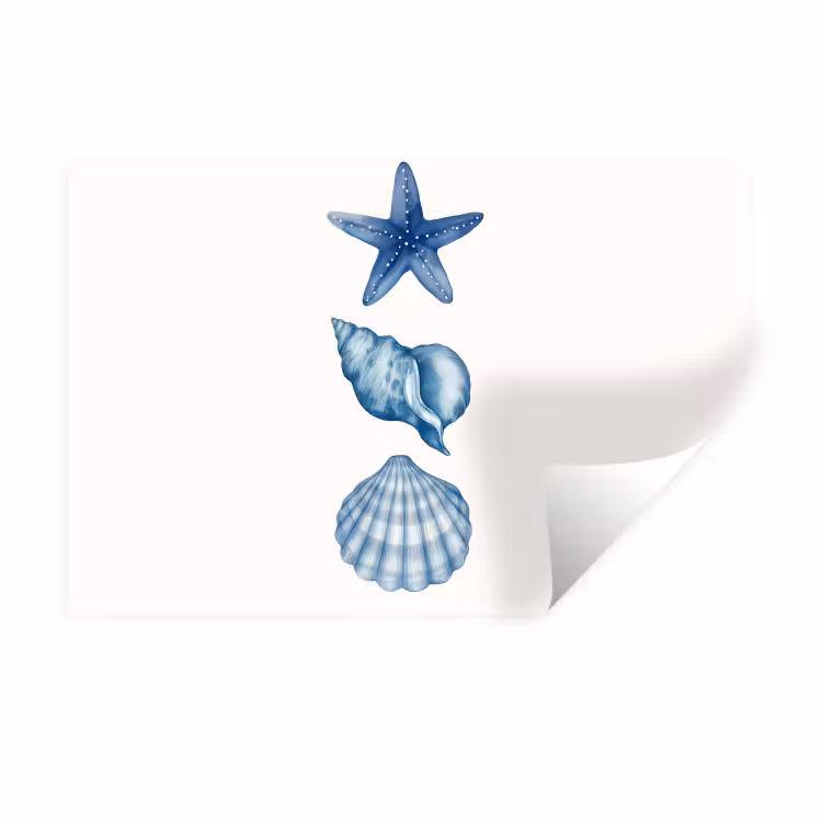 Muursticker - Zeester - Schelpen - Blauw — 1