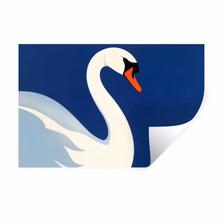 Muursticker - Zwaan - Wit - Snavel - Illustratie — 1