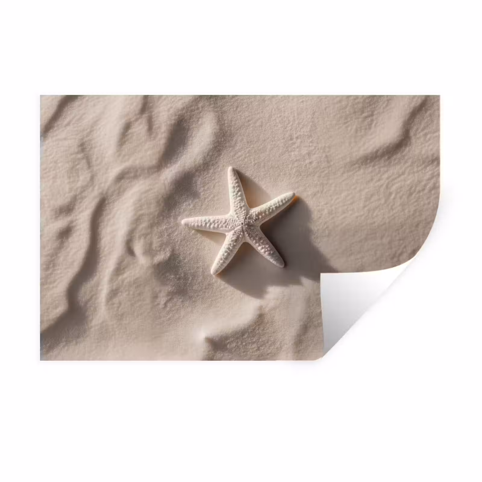 Muursticker - Strand - Zeester - Zand - Beige — 1