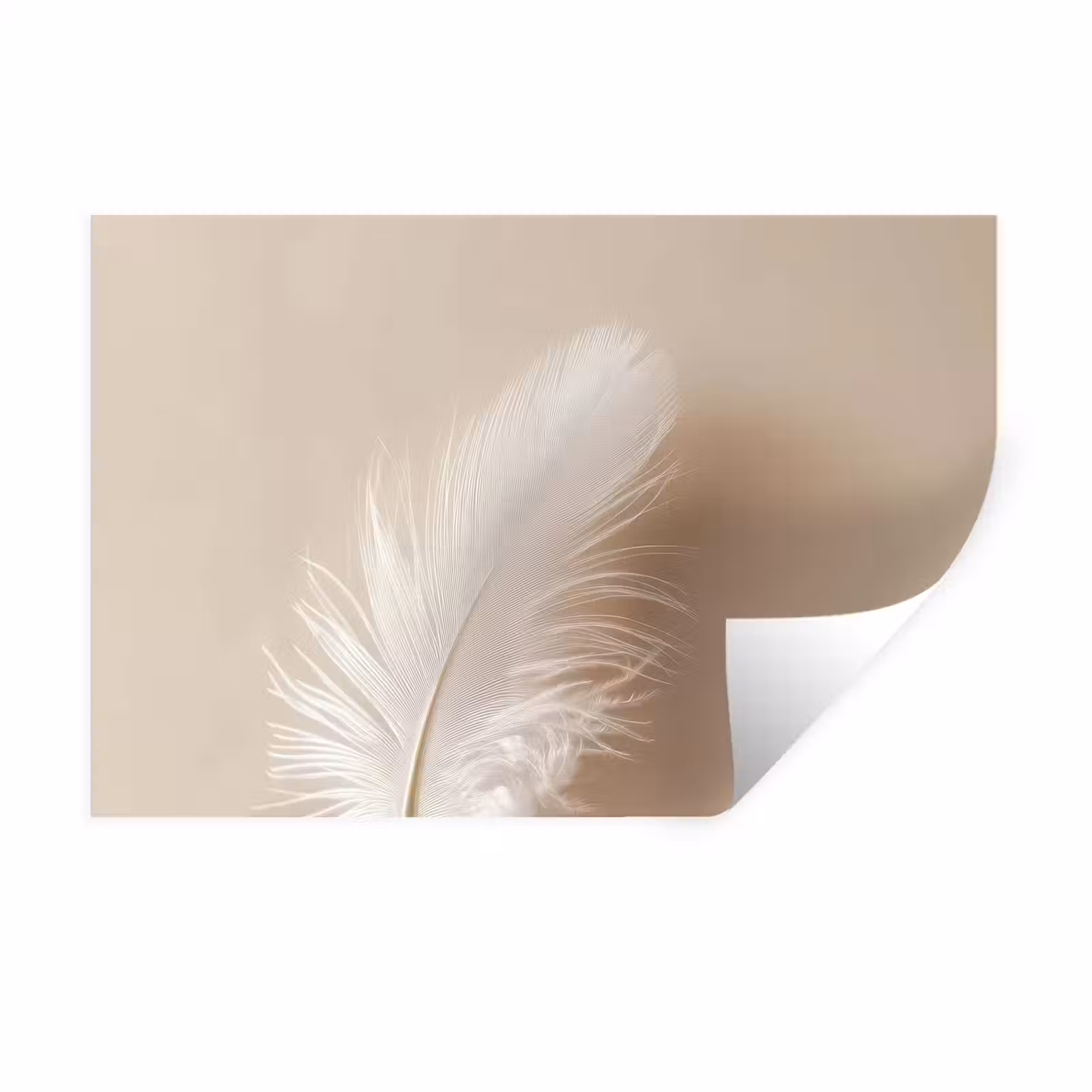 Muursticker - Veer - Minimalistisch - Roze — 1