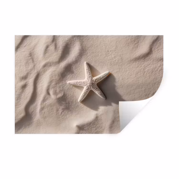 Muursticker - Strand - Zeester - Zand - Beige — 1
