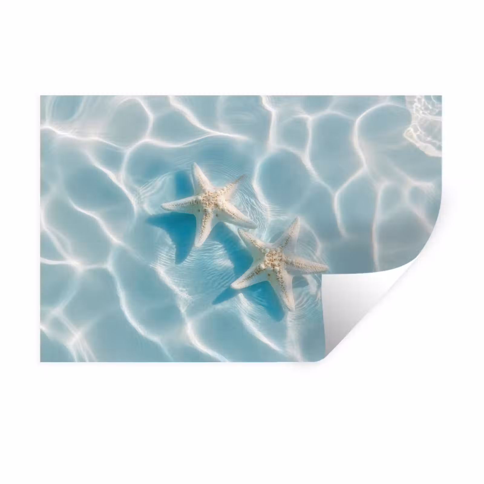 Muursticker - Zeesterren - Golvend water - Rustgevend — 1