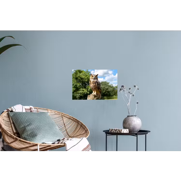 Muursticker - Uil - Boomstronk - Bos - Lucht — 4