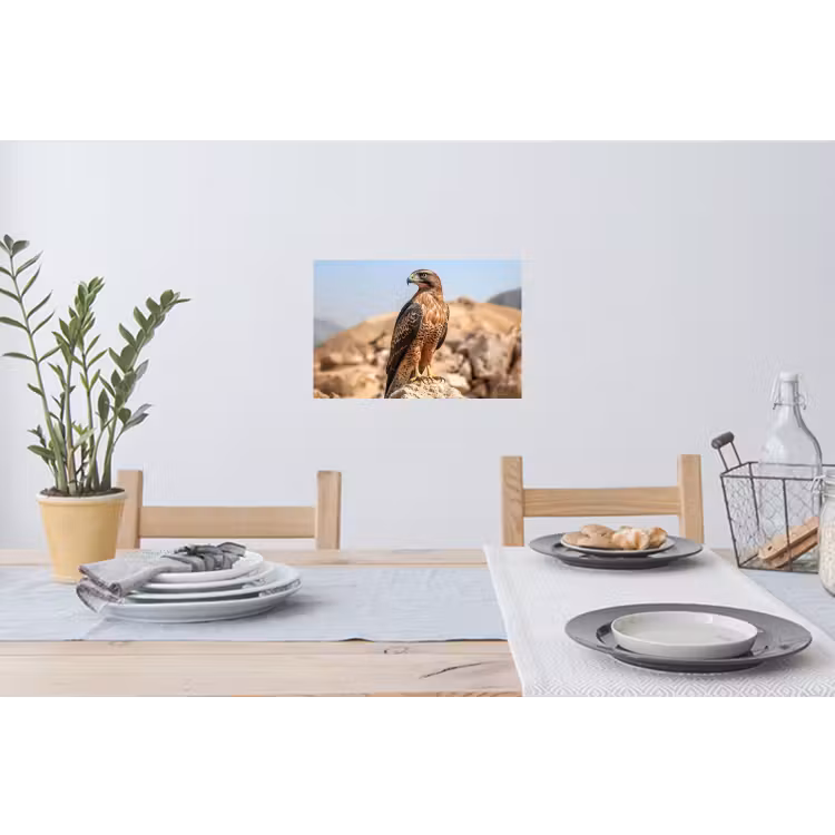 Muursticker - Valk - Vogel - Rots - Macht — 3