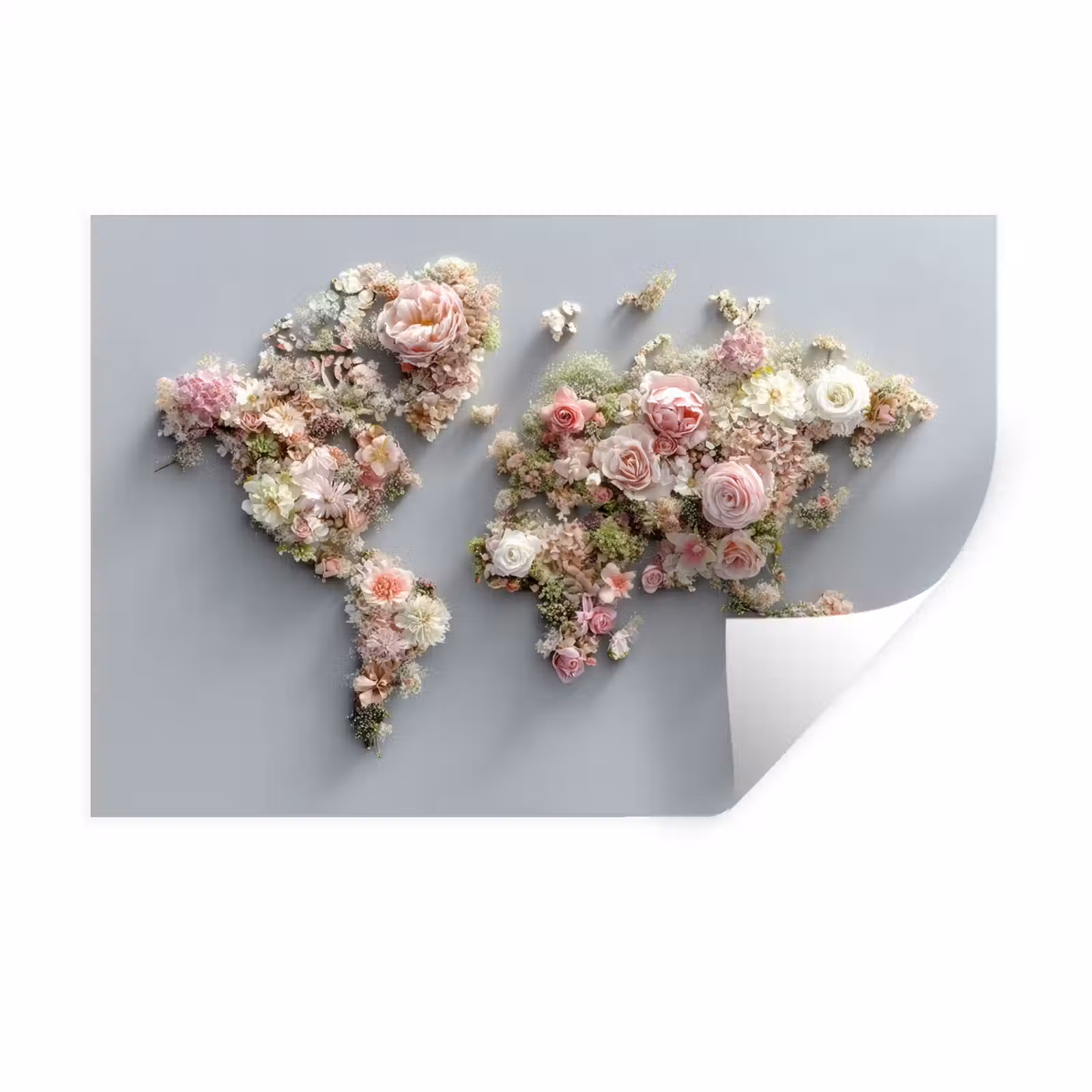 Muursticker - Wereldkaart - Rozen - Roze — 1