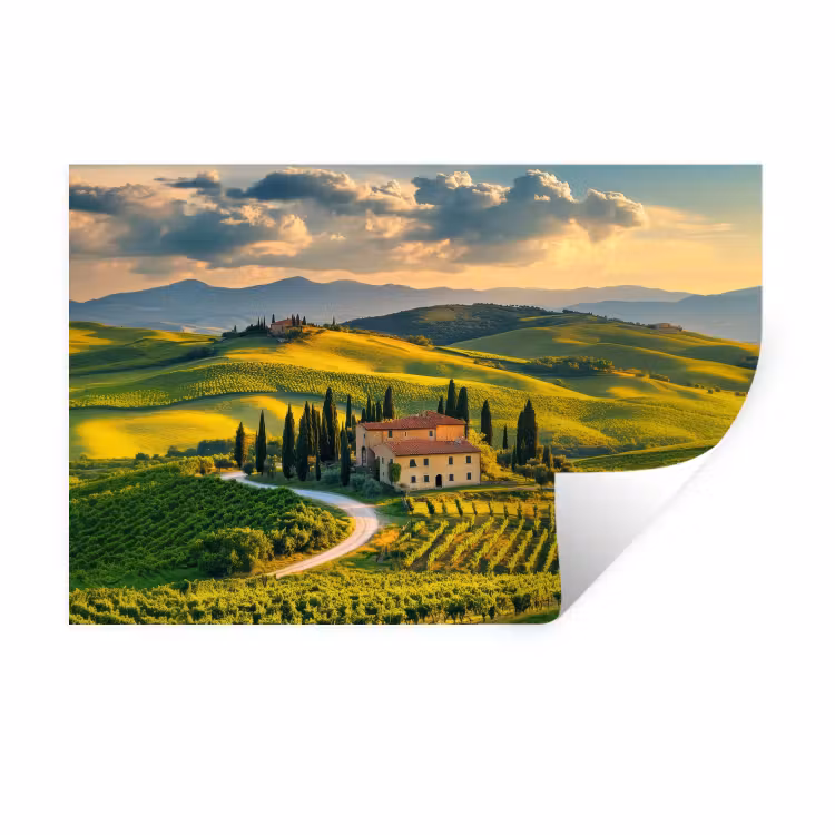 Muursticker - Toscane - Landschap - Wijngaarden — 1