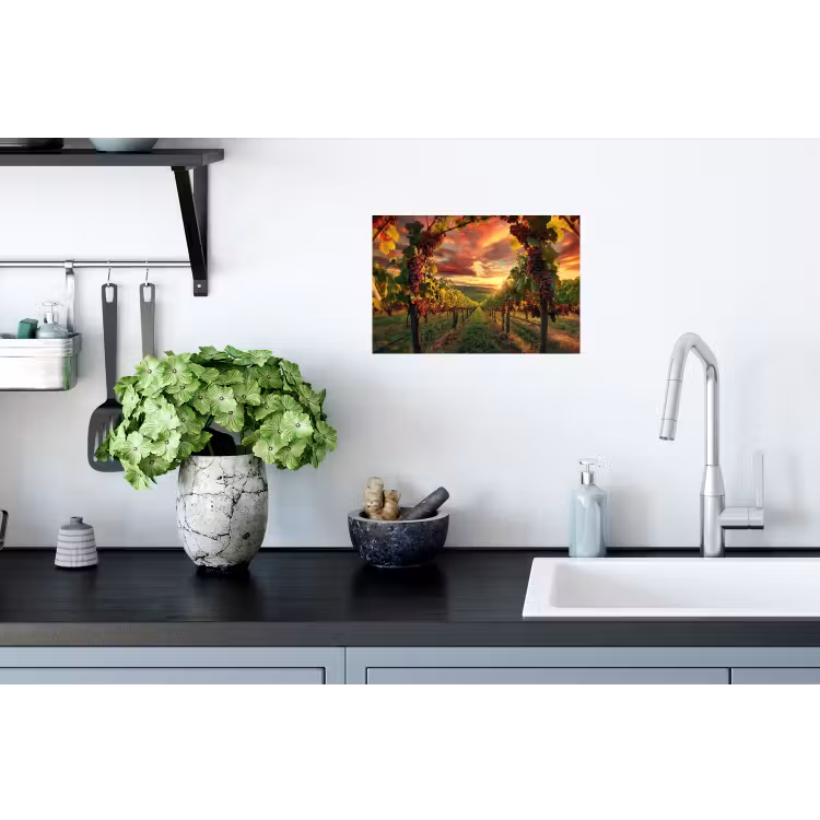 Muursticker - Wijngaard - Druiven - Zonsondergang — 2