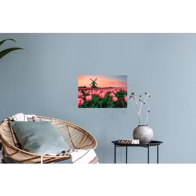 Muursticker - Tulpen - Molen - Nederland — 4