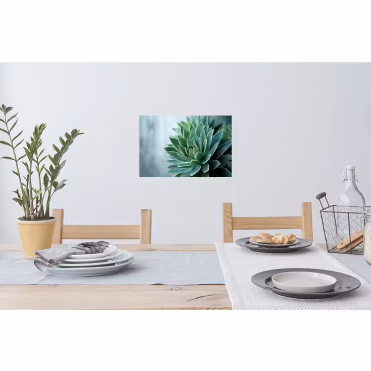 Muursticker - Vetplant - Bladeren - Groen - Wazig — 3
