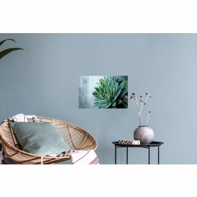 Muursticker - Vetplant - Bladeren - Groen - Wazig — 4