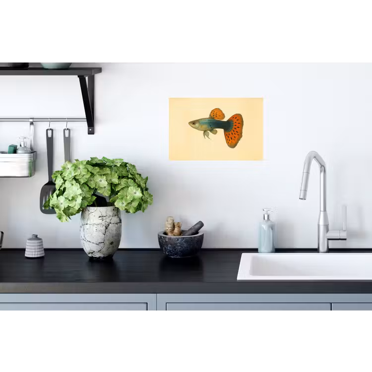 Muursticker - Vis - illustratie - Stippen - Oranje — 2
