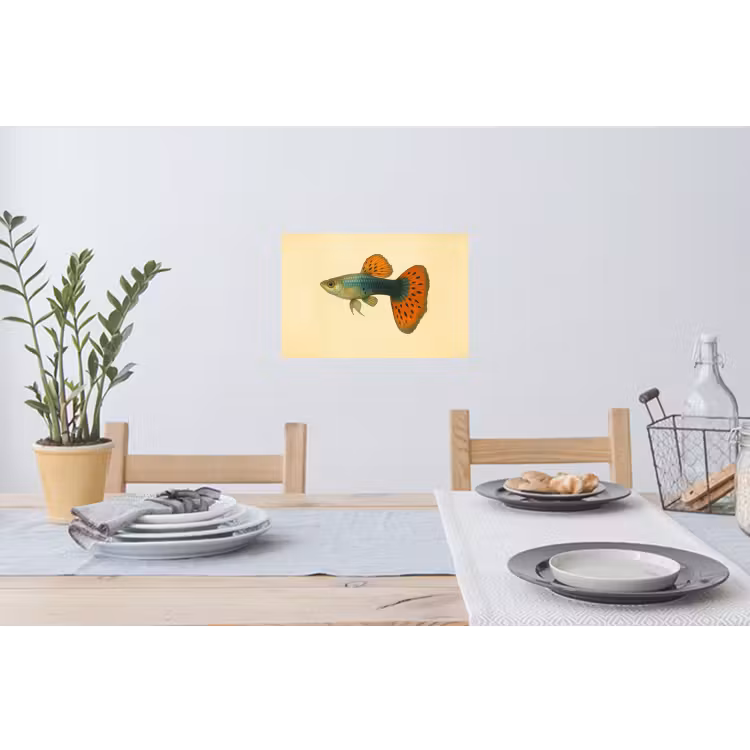 Muursticker - Vis - illustratie - Stippen - Oranje — 3