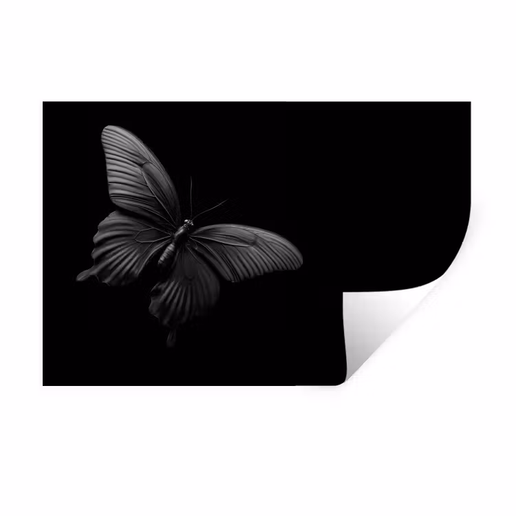Muursticker - Vlinder - Zwart - Insect - Dieren — 1