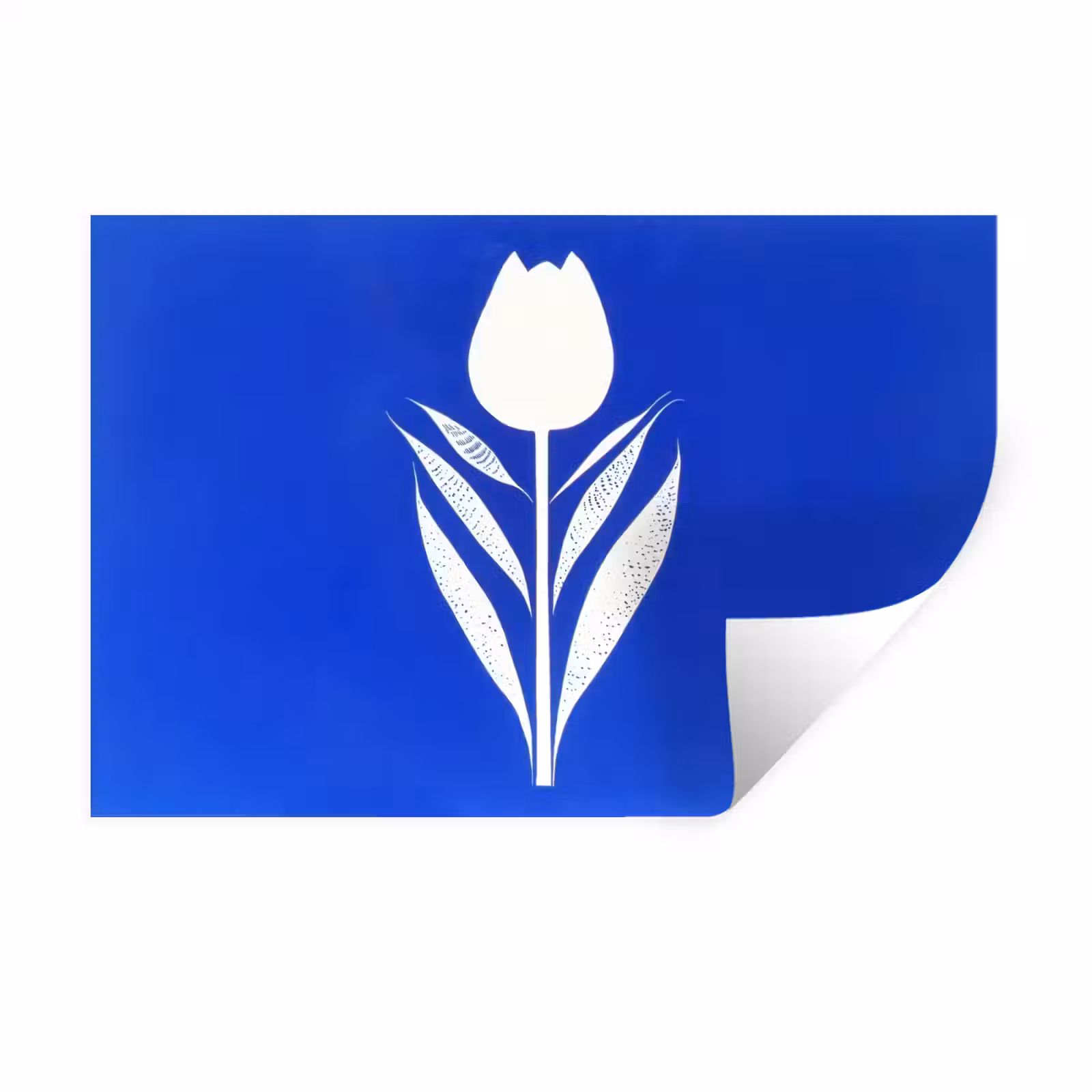 Muursticker - Tulp - Minimalistisch - Bladeren - Wit — 1