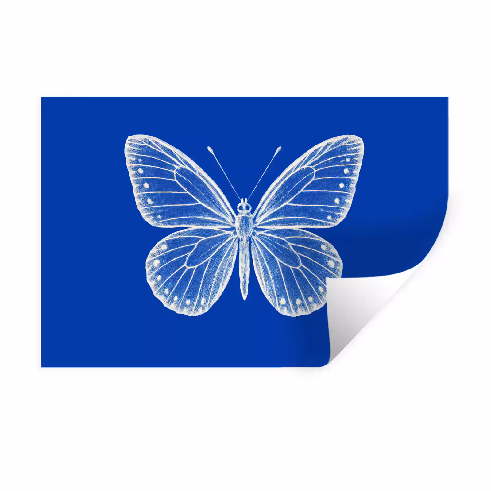 Muursticker - Vlinder - Wit - Getekend - Stippen — 1
