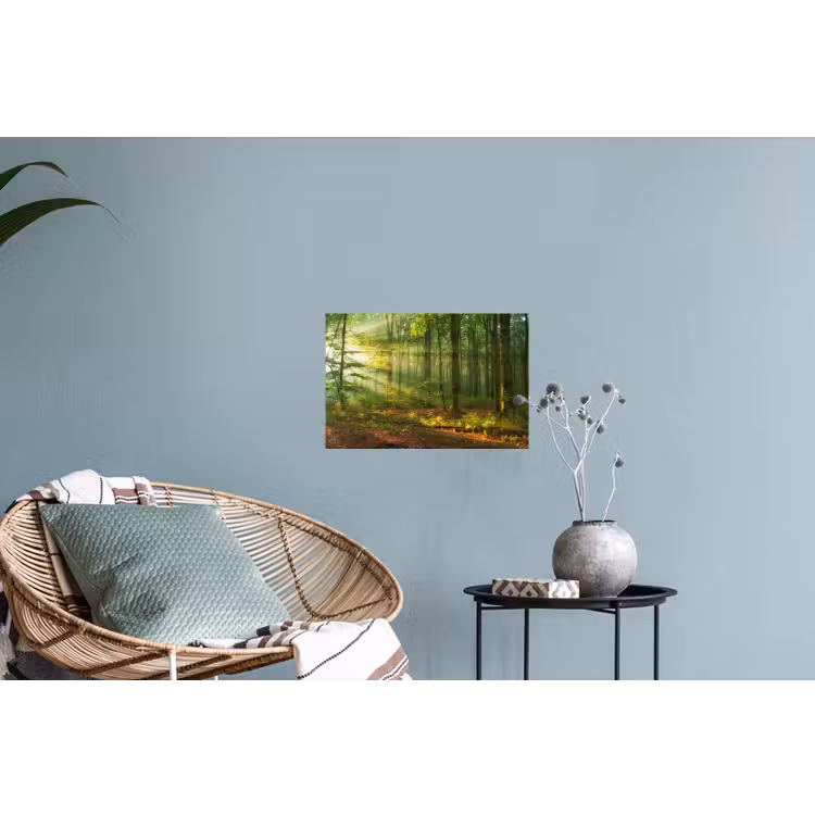 Muursticker - Zon - Bos - Bomen - Natuur - Herfst — 4