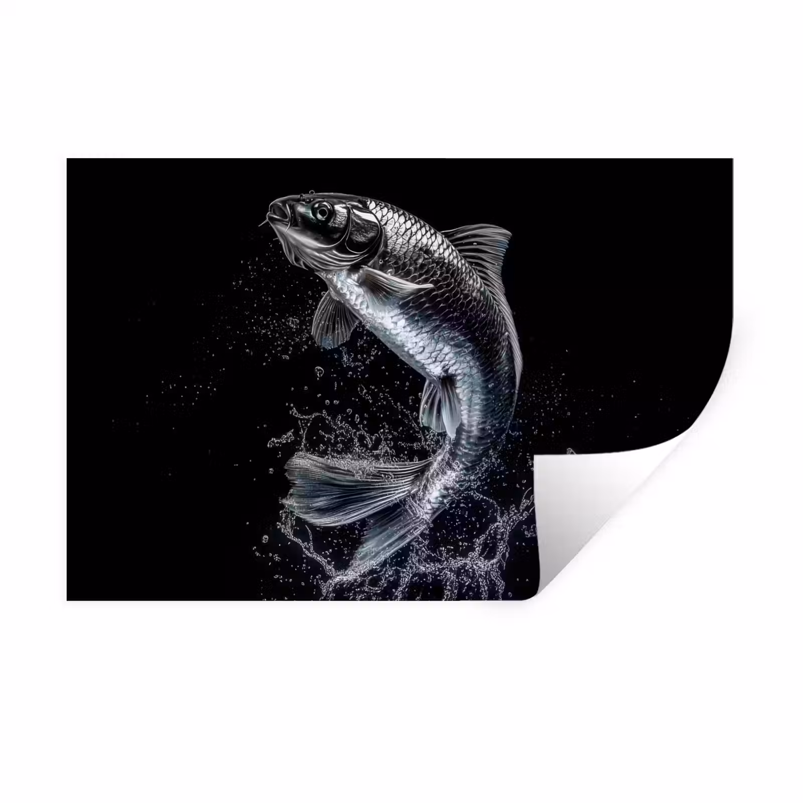 Muursticker - Vis - Koi - Zwart - Water — 1