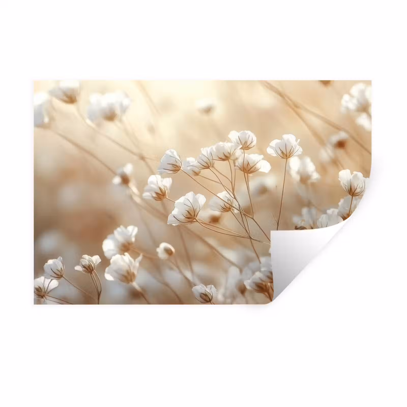 Muursticker - Wilde - Bloemen - Wit — 1
