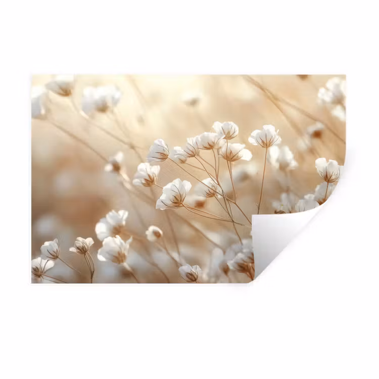 Muursticker - Wilde - Bloemen - Wit — 1