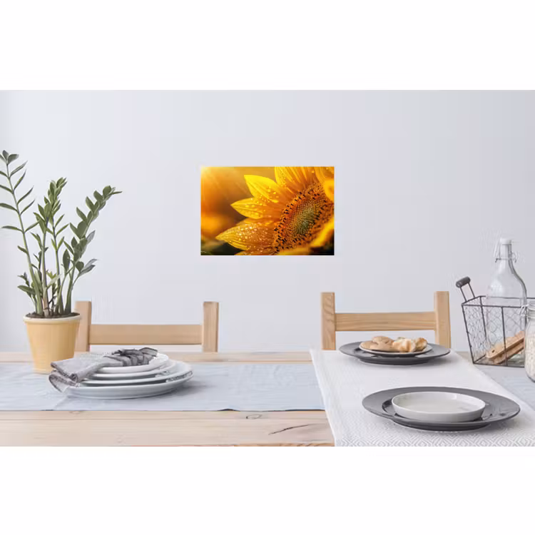 Muursticker - Zonnebloem - Dauwdruppels - Geel - Zonlicht — 3