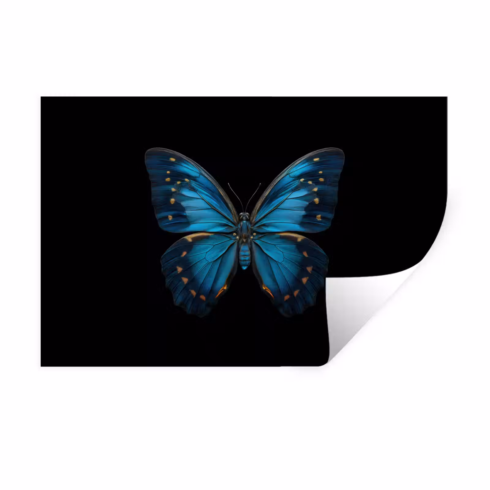 Muursticker - Vlinder - Blauw - Contrast — 1