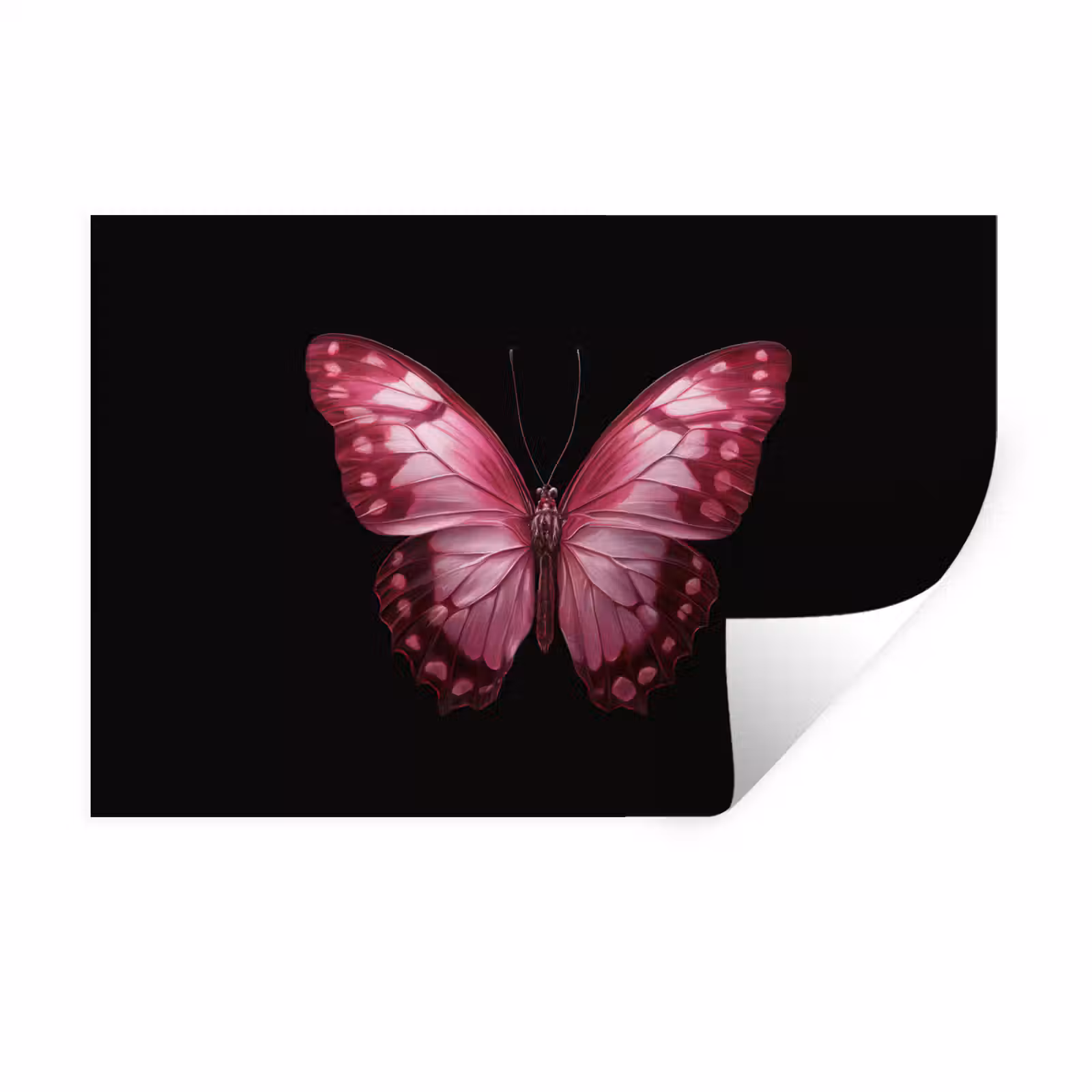 Muursticker - Vlinder - Fuchsia - Grafisch — 1