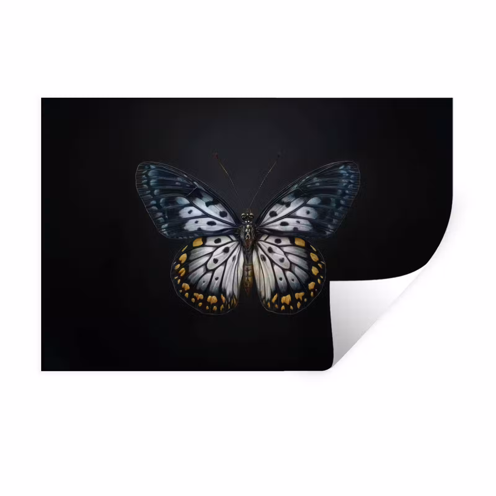 Muursticker - Vlinder - Monochroom - Balans — 1