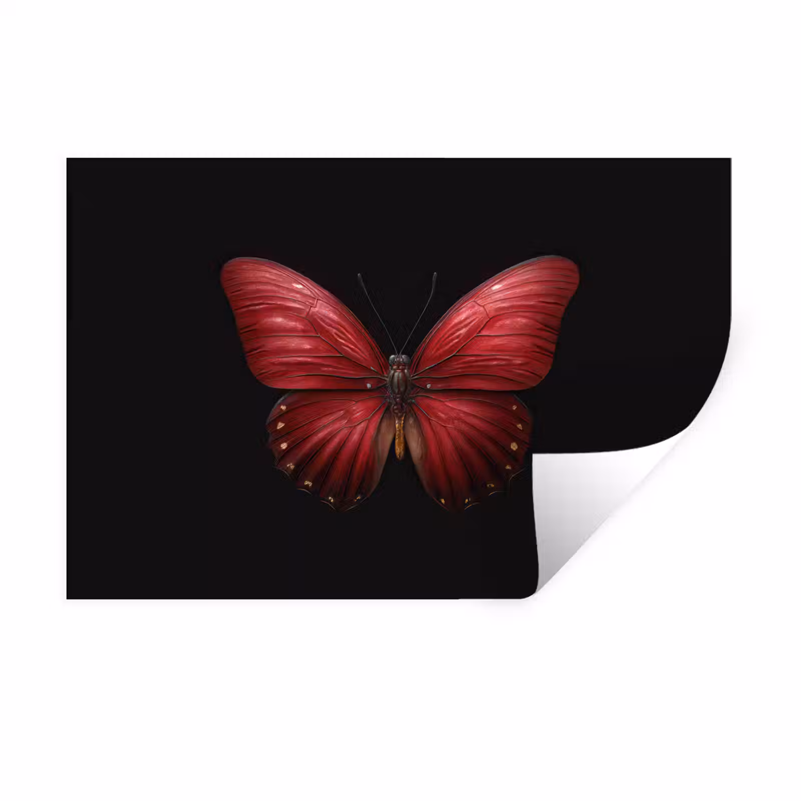 Muursticker - Vlinder - Rood - Minimalistisch — 1