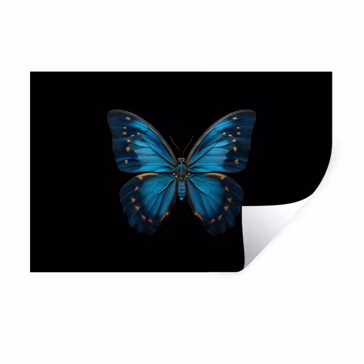 Muursticker - Vlinder - Blauw - Contrast — 1