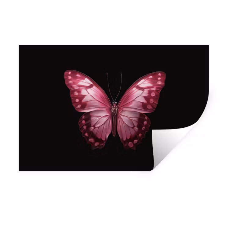 Muursticker - Vlinder - Fuchsia - Grafisch — 1