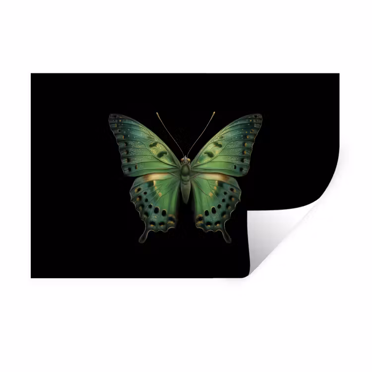 Muursticker - Vlinder - Groen - Diepte — 1