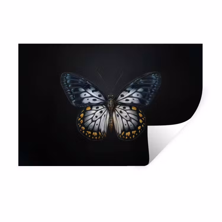 Muursticker - Vlinder - Monochroom - Balans — 1