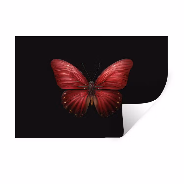 Muursticker - Vlinder - Rood - Minimalistisch — 1