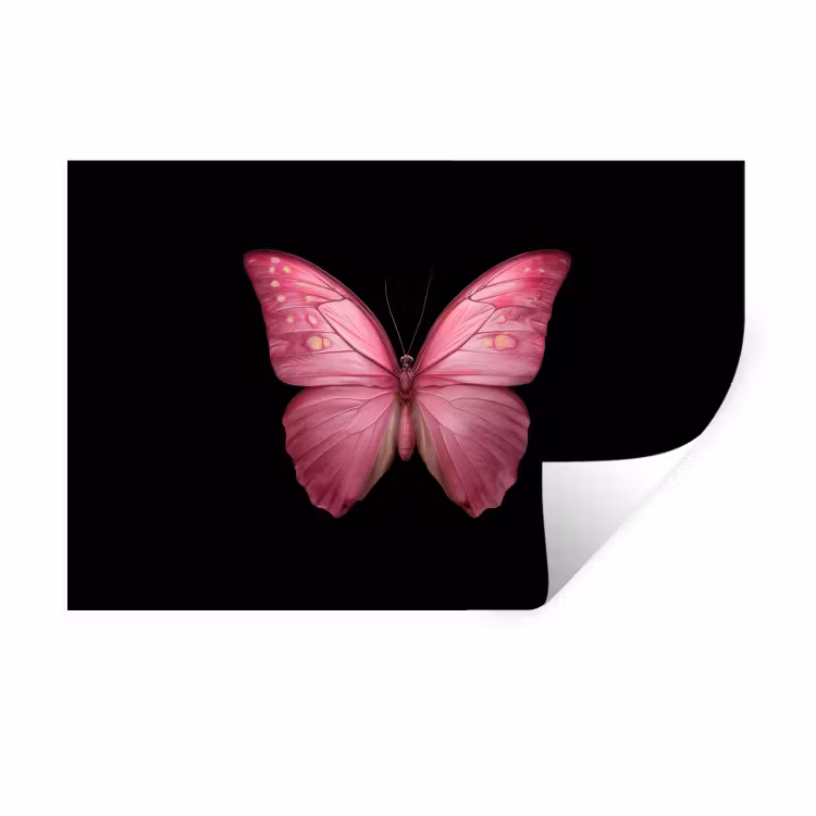 Muursticker - Vlinder - roze - Elegant — 1