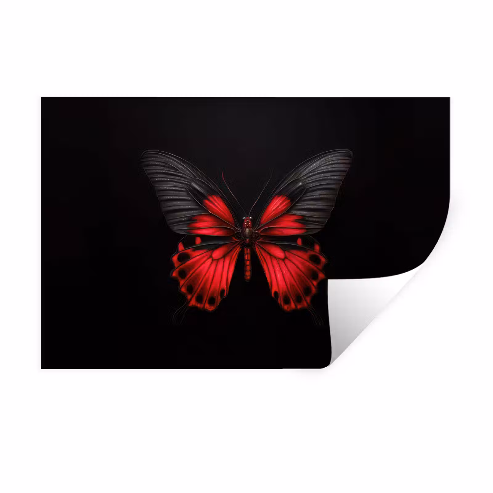 Muursticker - Vlinder - Rood - Contrast — 1