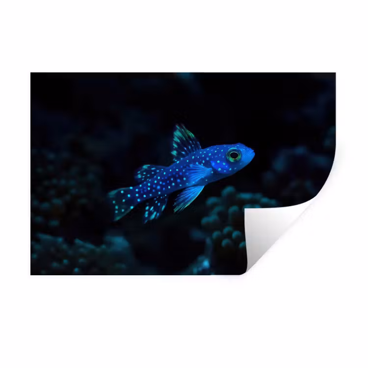 Muursticker - Vis - Stippen - Koraal - Blauw — 1
