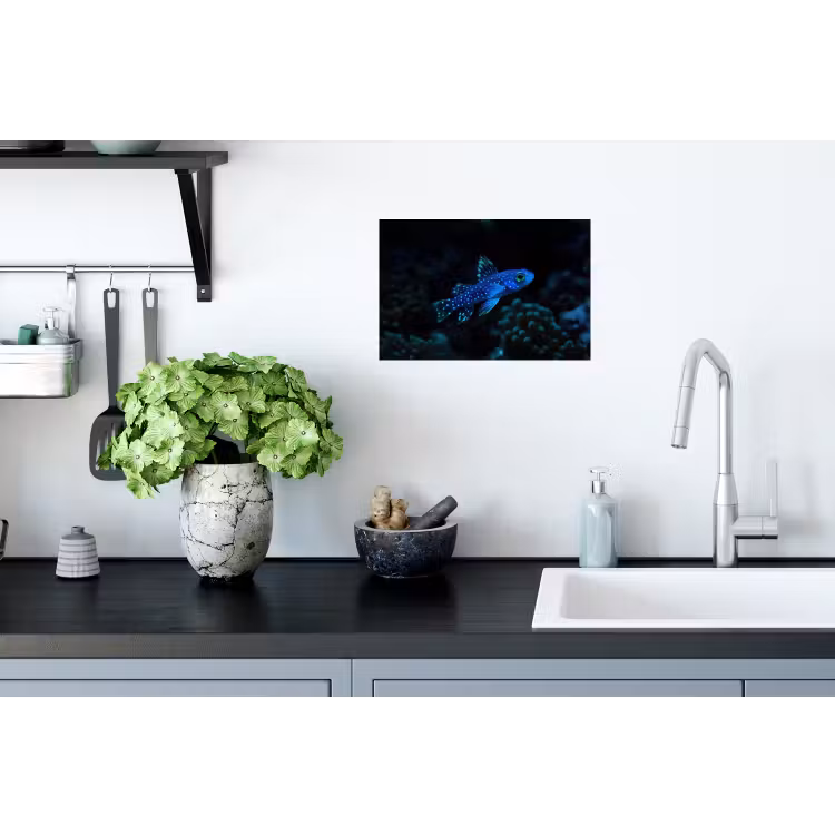 Muursticker - Vis - Stippen - Koraal - Blauw — 2