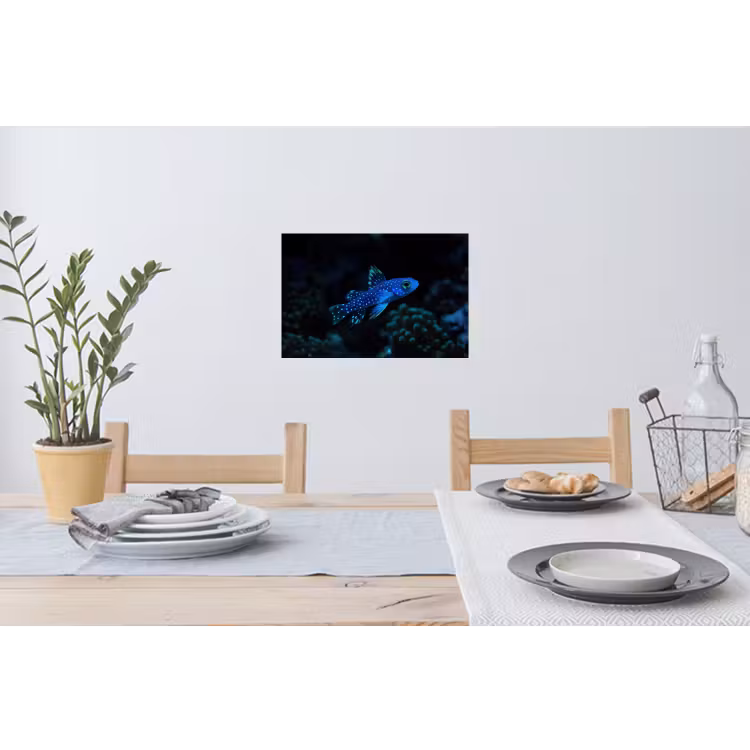 Muursticker - Vis - Stippen - Koraal - Blauw — 3